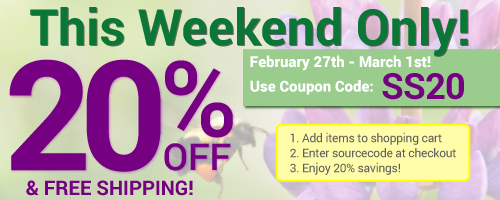 Ricci Amalfi February Sale