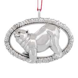 A photo of Polar Bear 9th Edition