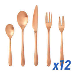 A photo of Alba Rose Gold 60 Piece Service for 12