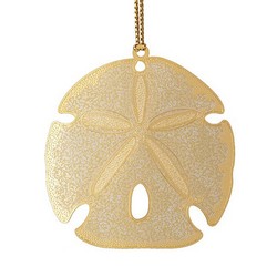 A photo of Sand Dollar