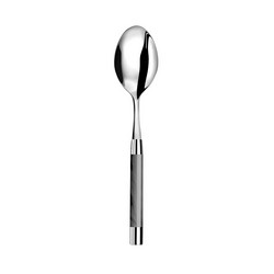 A photo of Conty Grey Serving Spoon