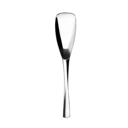A photo of XY Mirror Serving Spoon