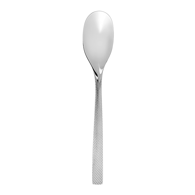 Guest Star Serving Spoon