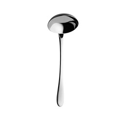 A photo of Aquatic Soup Ladle