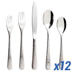 A photo of Aquatic Supernature 60 Piece Service for 12