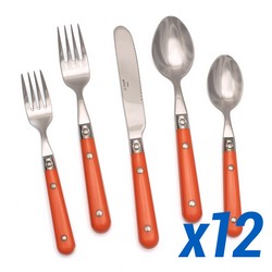 A photo of Le Prix Persimmon 60pc Service for 12