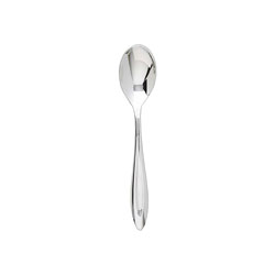 A photo of Fontur Platinum Teaspoon