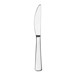 Runway Dinner Knife
