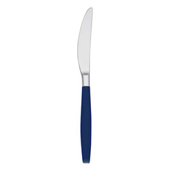A photo of Dinner Knife