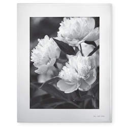 A photo of Picture Frame, 8x10, Darling Point