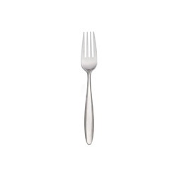 A photo of Curve Salad Fork