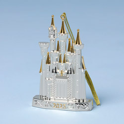 A photo of 2025 Disney Castle