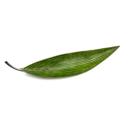 A photo of Banana Tree Leaf, Enameled Interior