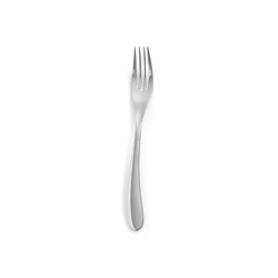 Portables Salad Fork