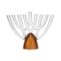 Unity Menorah