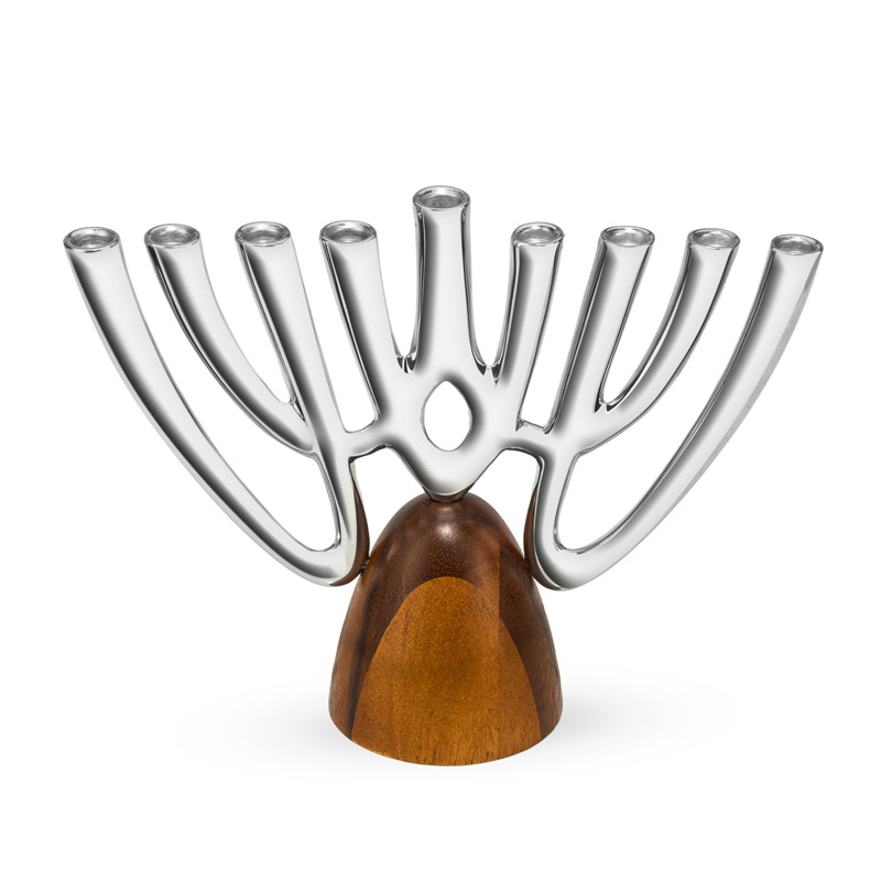 Unity Menorah