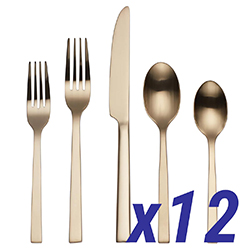 Chef's Table Champagne 60pc Service for 12