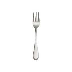 A photo of Satin Icarus Salad Fork