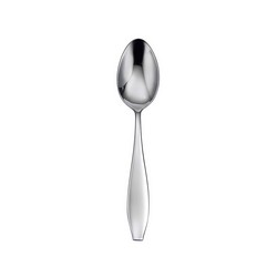 Comet Oval Soup Spoon