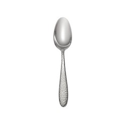 Reyna Oval Soup Spoon