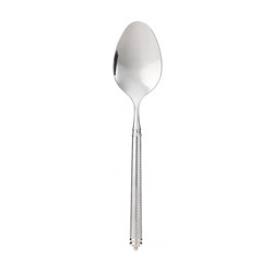 Solitaire Serving Spoon