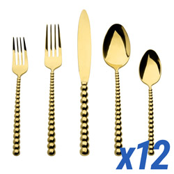 Rondure Gold 60pc Service for 12