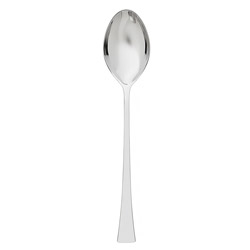 Stellar Serving Spoon