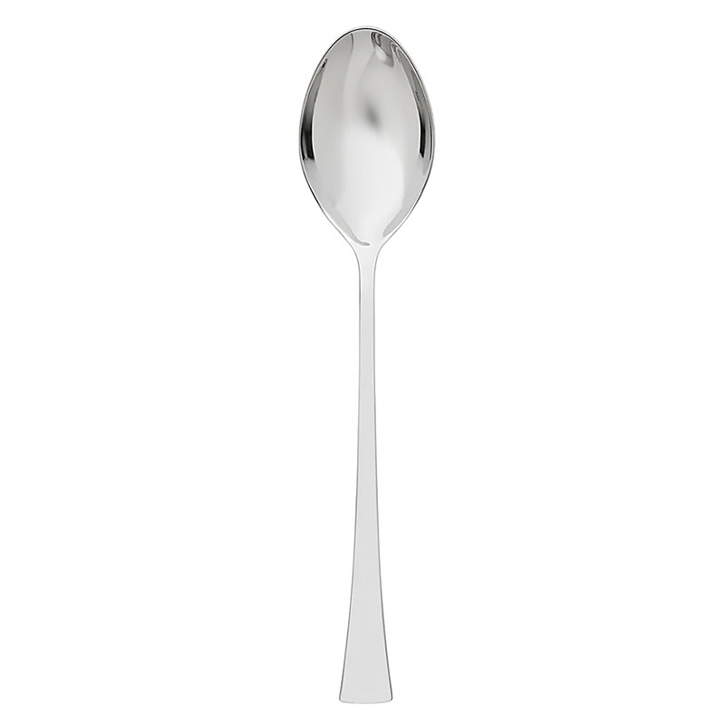 Stellar Serving Spoon