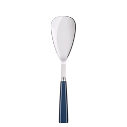 Icone Steel Blue Rice Spoon