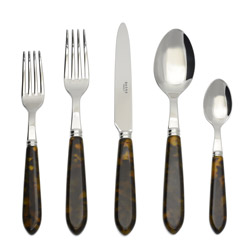 A photo of Sabre Tortoise 5pc Place Setting