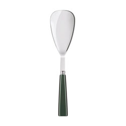 Icone Dark Green Rice Spoon