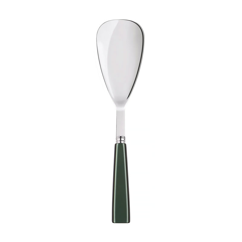 Icone Dark Green Rice Spoon