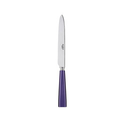 Icone Purple Dinner Knife