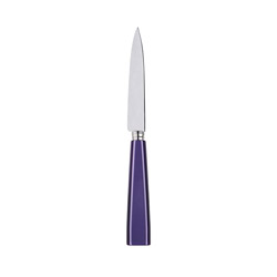 Icone Purple Kitchen Knife