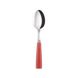 Ic&ocirc;ne Orange Soup Spoon