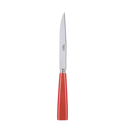 Ic&ocirc;ne Orange Steak Knife