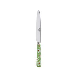 A photo of Daisy Garden Green Dinner Knife