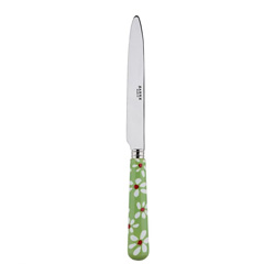 A photo of Daisy Garden Green Dinner Knife, Serrated