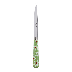 A photo of Daisy Garden Green Steak Knife