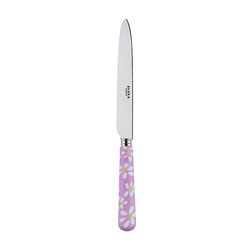 A photo of Daisy Pink Dinner Knife