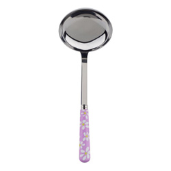 A photo of Daisy Pink Ladle