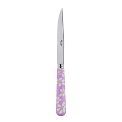 A photo of Daisy Pink Steak Knife