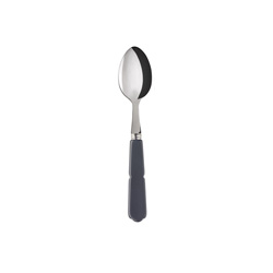 A photo of Gustave Grey Teaspoon