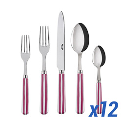 A photo of White Stripe Fuchsia 60pc Service for 12