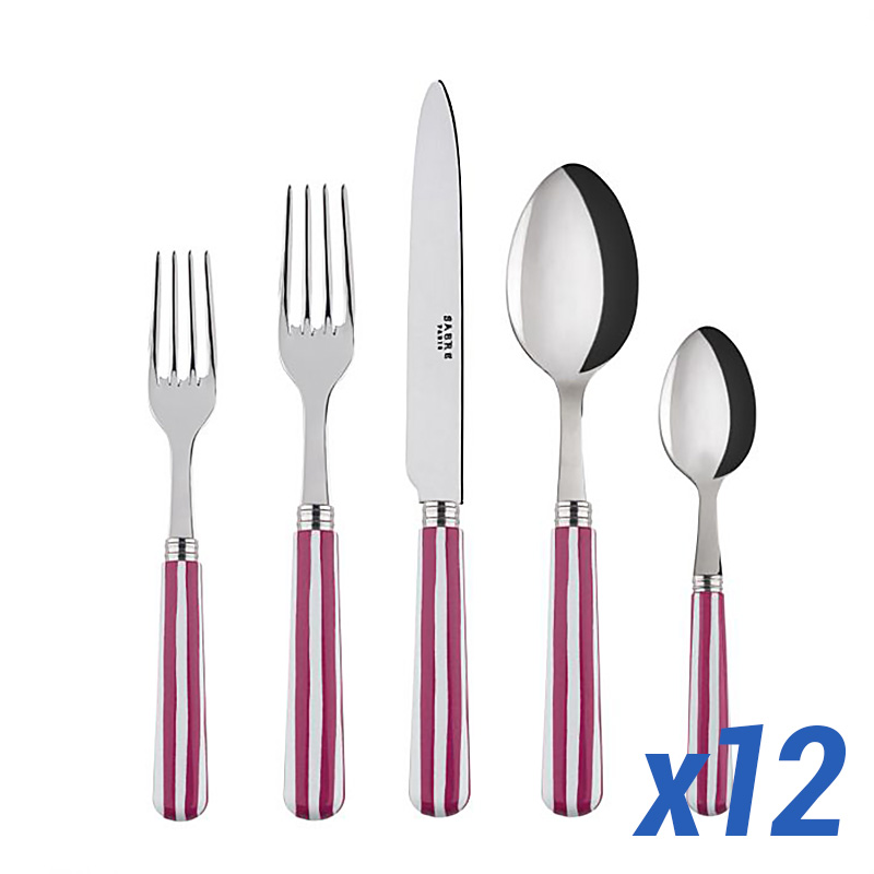 White Stripe Fuchsia 60pc Service for 12