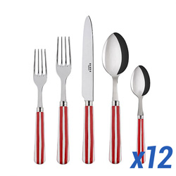 A photo of White Stripe Red 60pc Service for 12