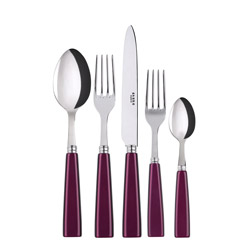 A photo of Icone Aubergine 5pc Place Setting