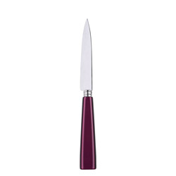 Icone Aubergine Kitchen Knife