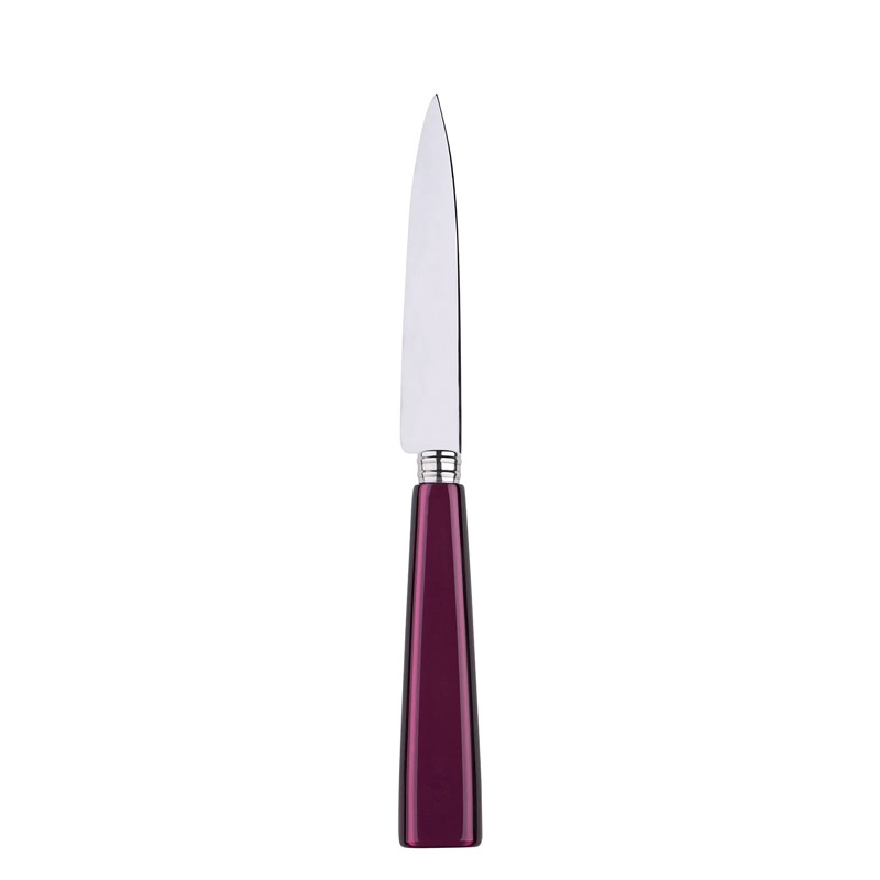 Icone Aubergine Kitchen Knife