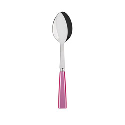 Icone Pink Serving Spoon